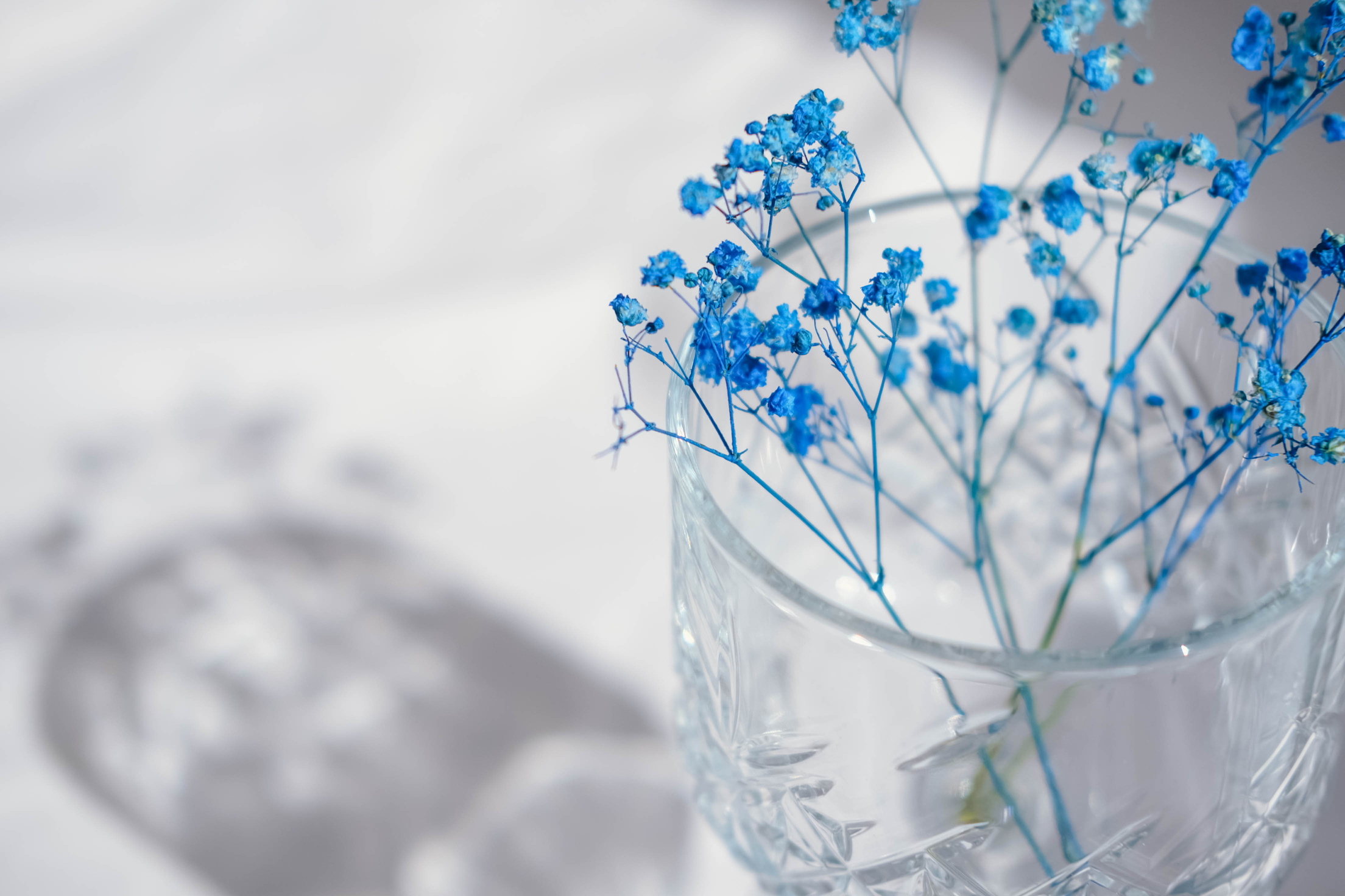 Aesthetics blue flowers in a glass and shadow
