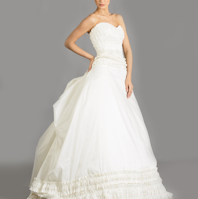 Beautiful Bride Wearing Bridal Gown